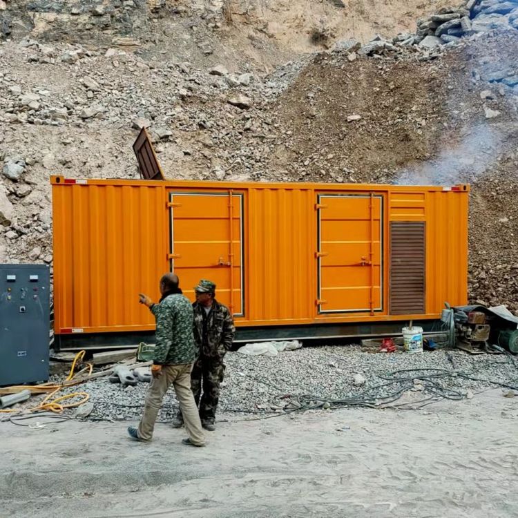 酉阳如何选择适合自己的 800KW 柴油发电机组？